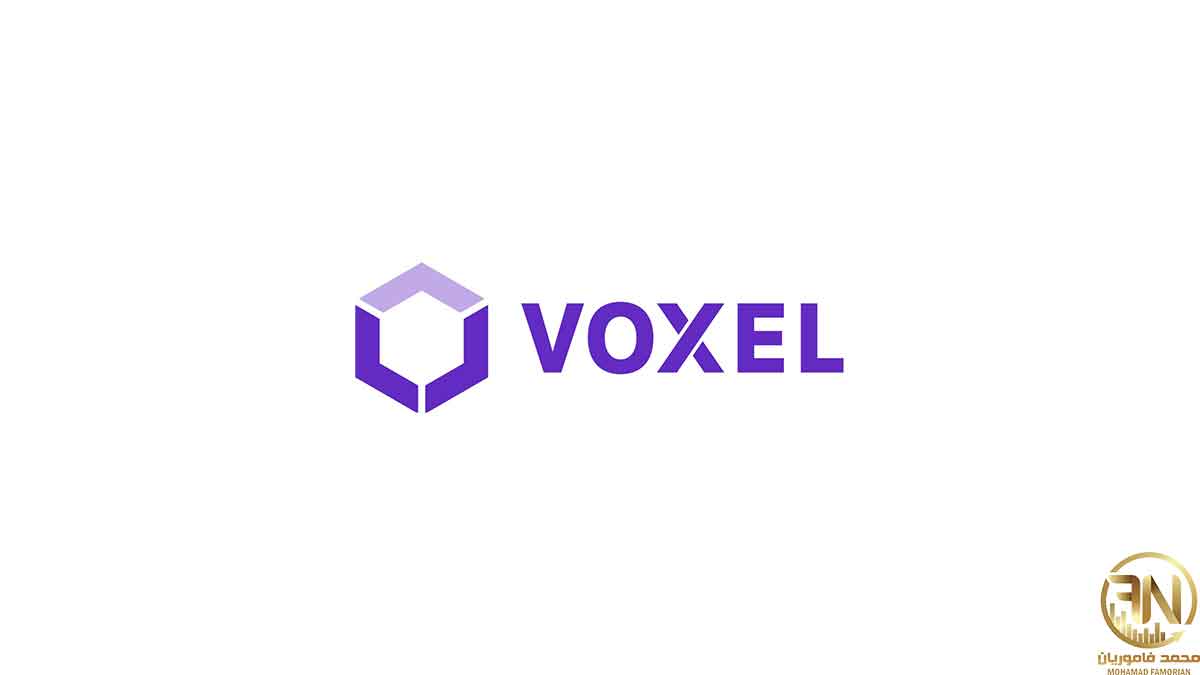 ارز دیجیتال Voxel چیست